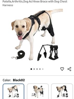 Black Dog ACL Knee Brace with Chest Harness for Dogs